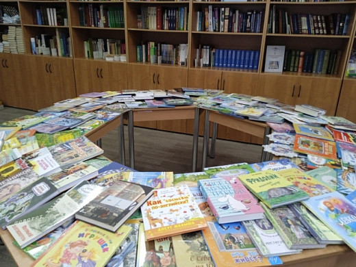 Наволокской библиотеке подарили 160 новых детских книг